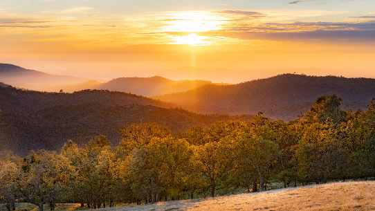 Image of a sunset over a forest.